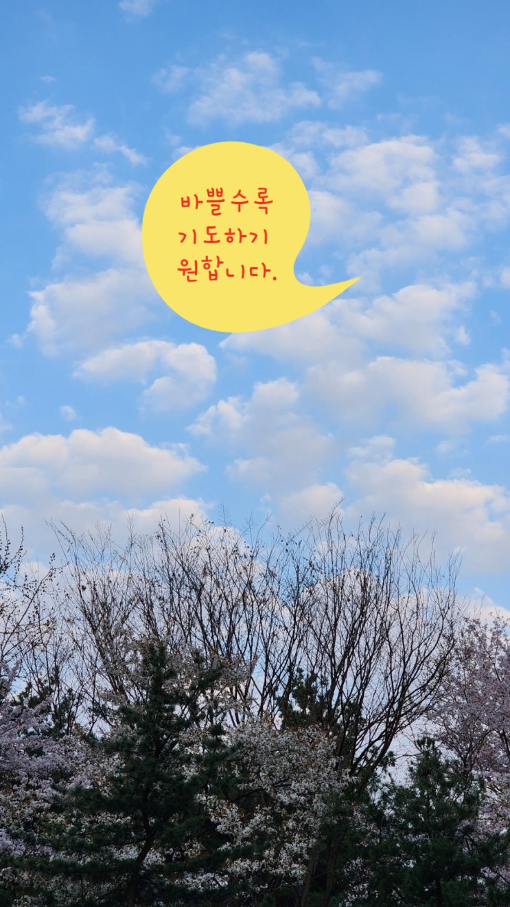 바쁠수록 기도하기 원합니다 바쁠수록 기도하기 원합니다
