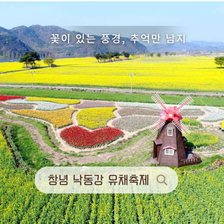  창녕 낙동강 유채축제 부산 근교 4월 가볼만한곳 남지체육공원