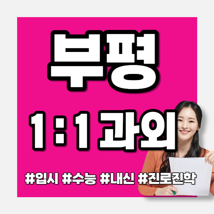  부평 산곡동 영어과외 회화수업 부개동 고등 수학과외 이과내신