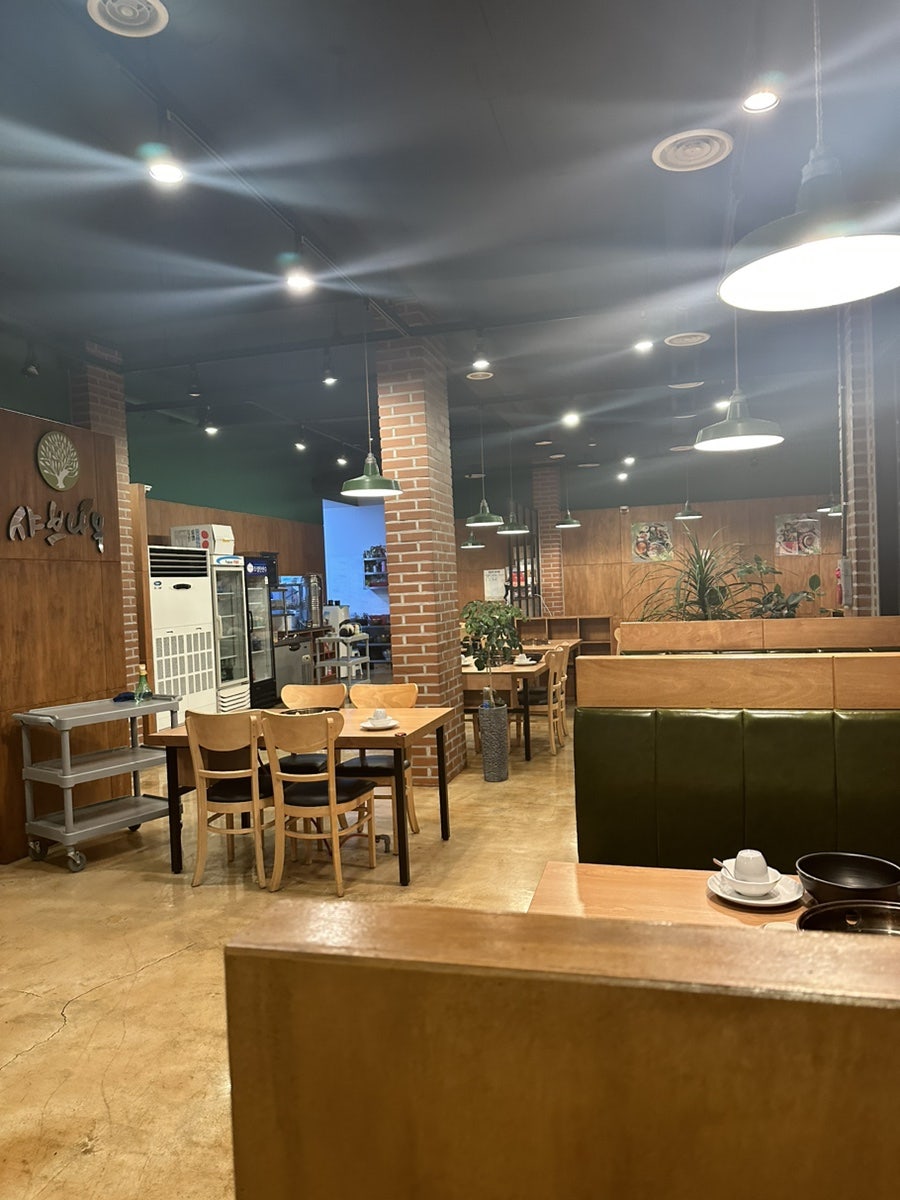 샤브나무 사진 4