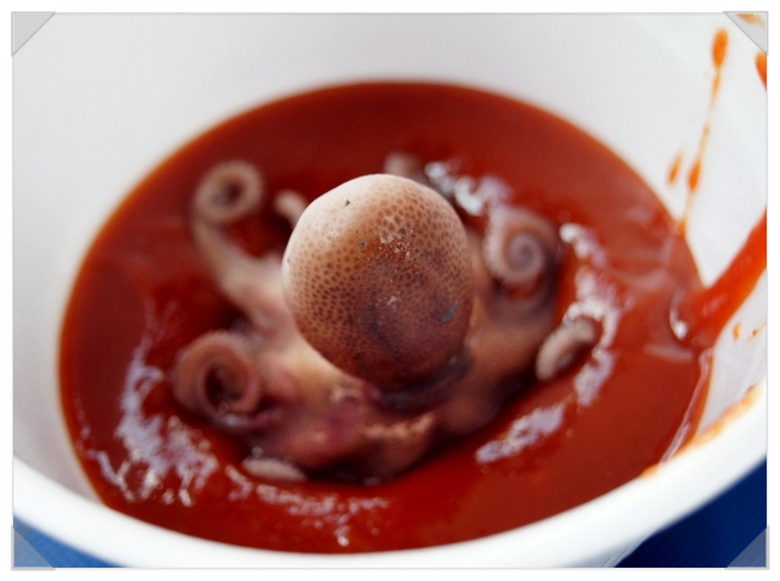4월 봄날에 맛있는 제철수산물_주꾸미, 멸치_대한민국 수산대전_4월 특별전이 열립니다. _환기타임즈 다올시스템 4월 봄날에 맛있는 제철수산물_주꾸미, 멸치_대한민국 수산대전_4월 특별전이 열립니다. _환기타임즈 다올시스템