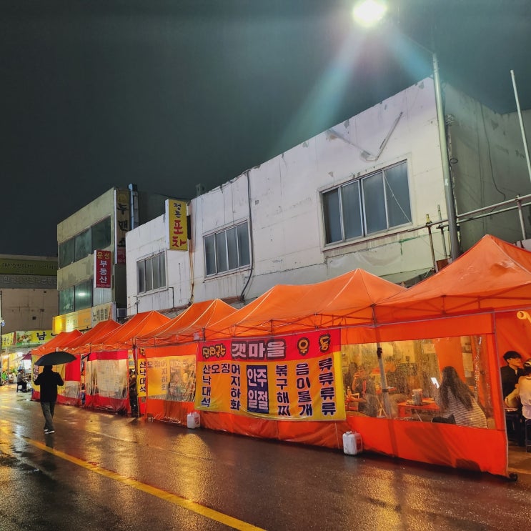  "천안역 포장마차"를 가보다.