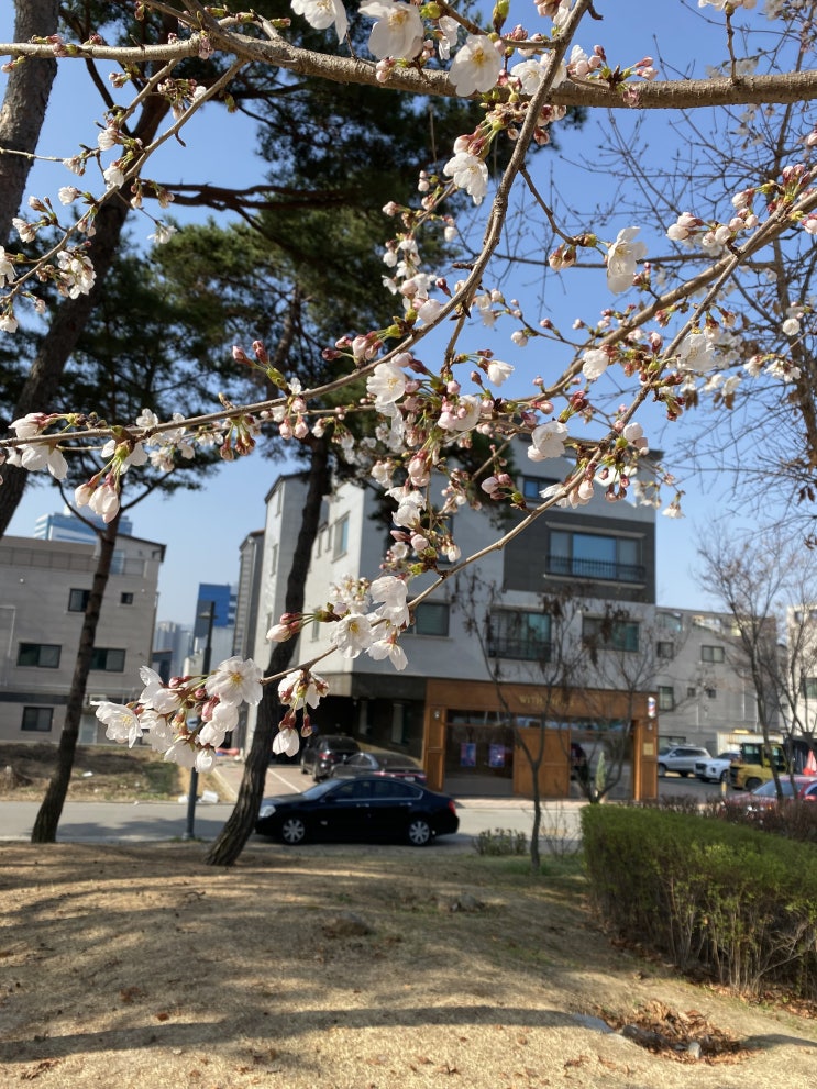  위드필스 바버샵 / 원주바버샵 / 원주혁신도시 / 4월