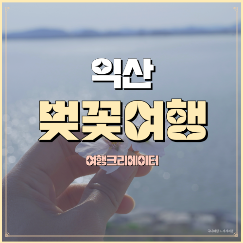  전라북도 익산 벚꽃여행지 웅포관광지곰개나루 벚꽃길 숭림사 벚꽃터널  익산 노을명소