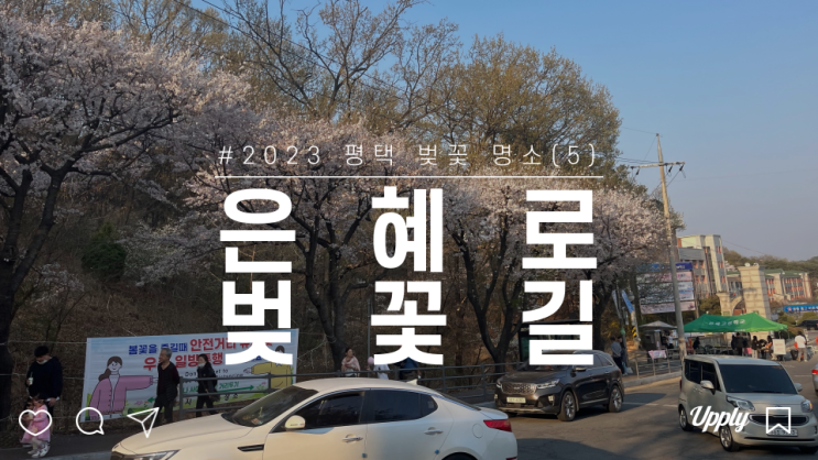  평택 송탄 은혜로 벚꽃길 명소 드라이브 즐기기