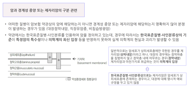  대장점막내암 일반암으로 보장받으려면? 보상지침 말고 '약관'을 보고 선택하세요!
