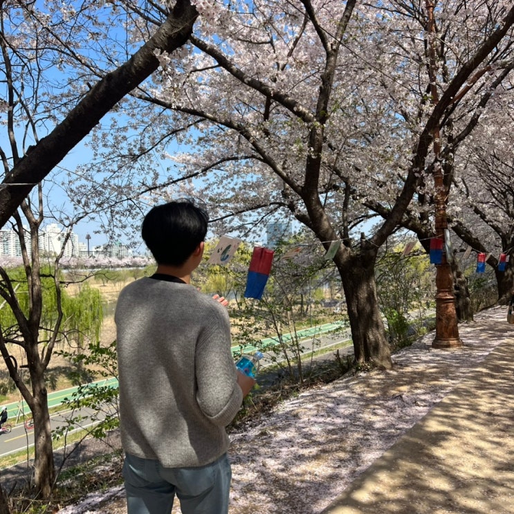  꽃놀이 명소, 국내 벚꽃길 중 가장 예쁜 곳