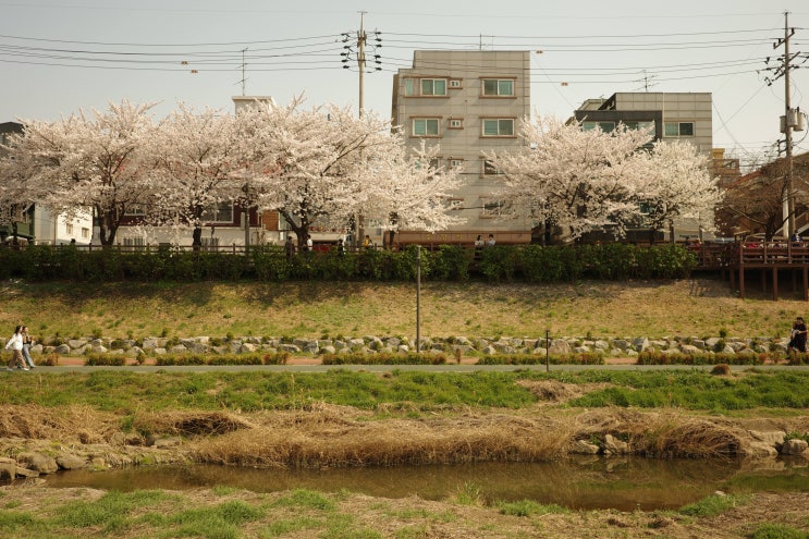  새삼스레 이야기해보는 사무실 입지