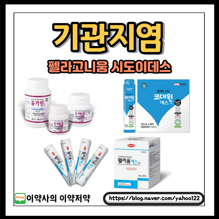  [이약사] 기관지염에 쓰이는 펠라고니움시도이데스 알아보자!