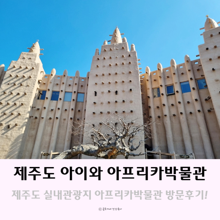 제주도 아이들과 가볼만한곳 실내관광지 아프리카 박물관 제주도 아이들과 가볼만한곳 실내관광지 아프리카 박물관