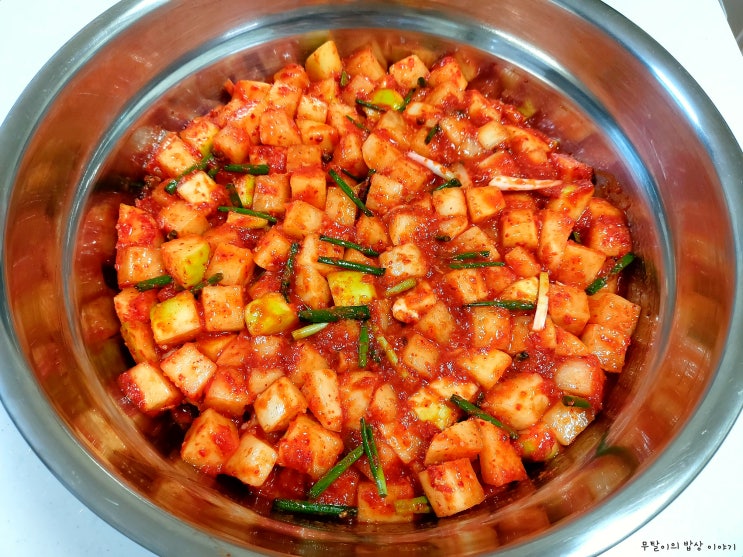 깍두기담그는법 깍두기 담그기 비법재료와 김장양념활용 김치