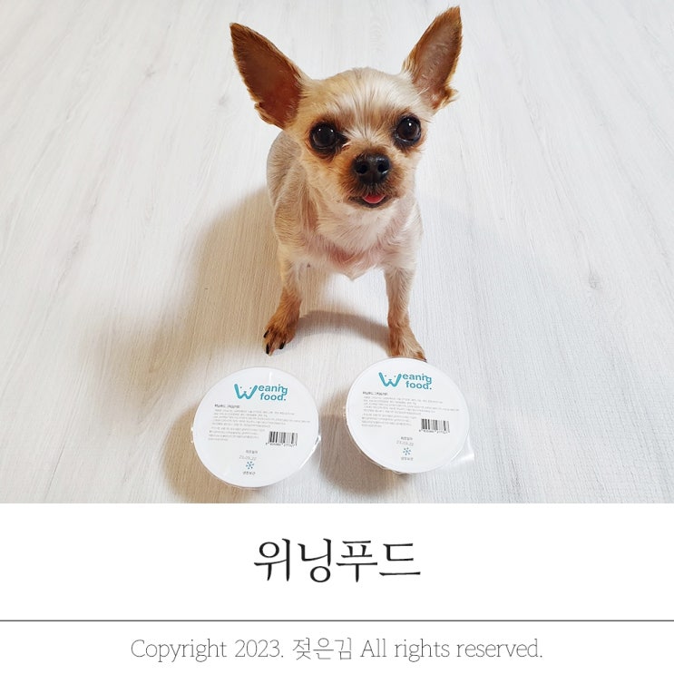 강아지그릭요거트 사람이 먹어도 되는 위닝푸드 강아지그릭요거트 사람이 먹어도 되는 위닝푸드