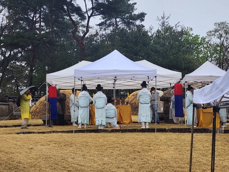  2023년 연산군묘(연산군과 거창군부인) 청명제향 재위기
