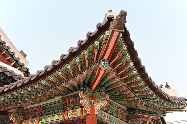  서울 봄에 꽃놀이 산책하기 좋은 고궁 [창덕궁]