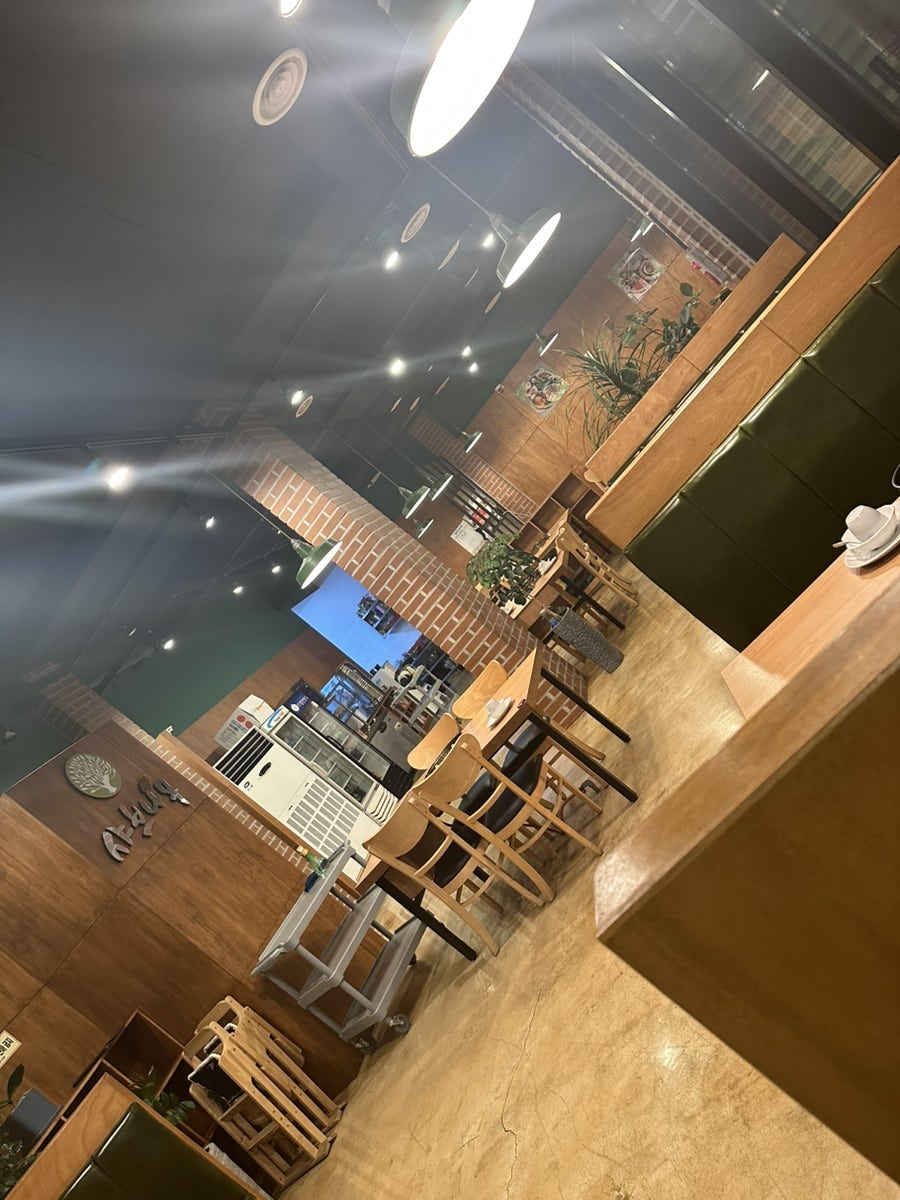 샤브나무 사진 3
