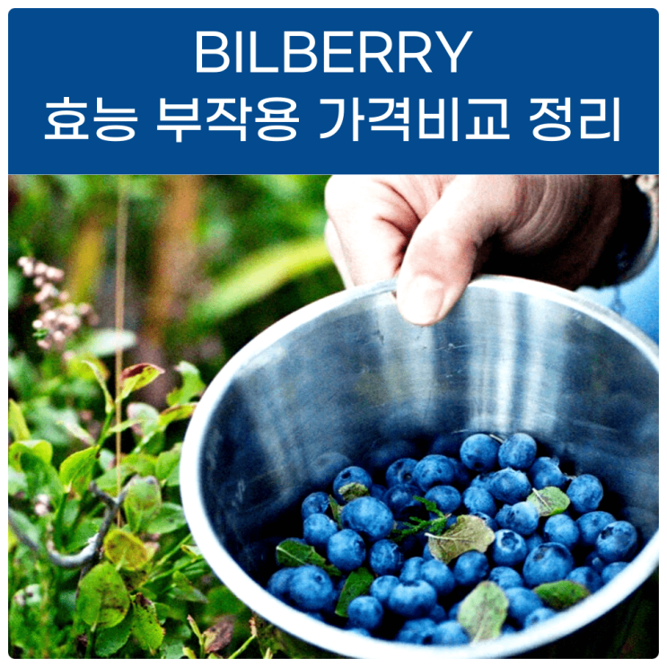  BILBERRY 빌베리 효능 부작용 가격비교