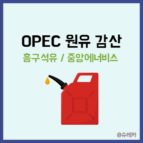 OPEC 원유 감산 발표 _ 석유화학 관련주 흥구석유 중앙에너비스
