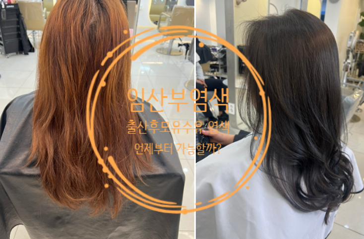  대전 탄방동 미용실 박가을헤어 임산부 출산후 모유수유 염색 언제부터?