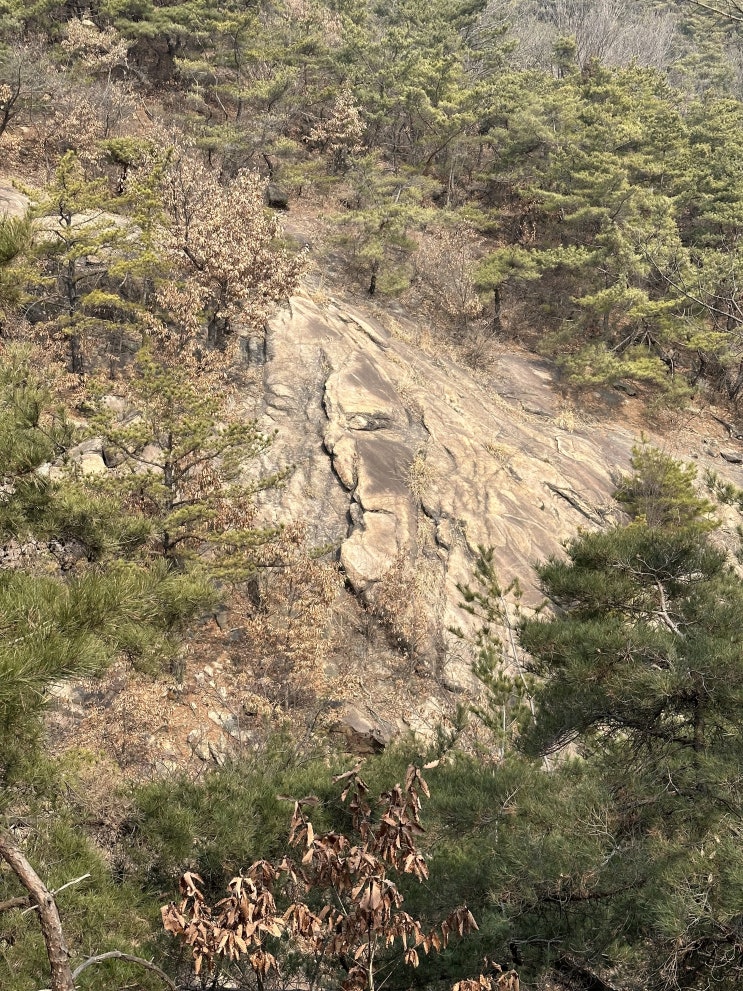  등린이의 첫 등산지, 아차산(등린이 추천코스, 주차장️), 팔당 칼제비 국수