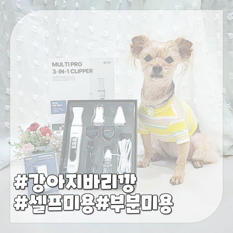  애견 셀프 부분 위생 미용하기, 미용 후 스트레스 줄여주는 강아지바리깡