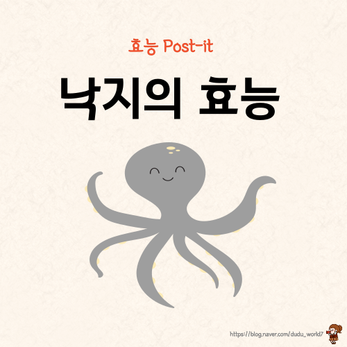  낙지의 효능과 섭취 시 주의사항, 타우린이 풍부한 낙지 효능 5가지