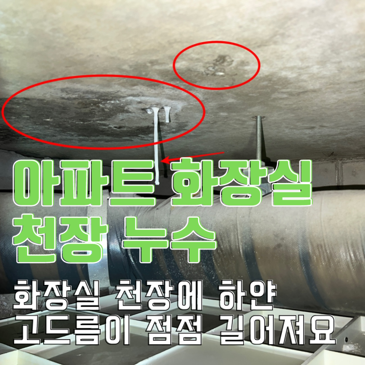  동탄누수탐지 아파트 화장실 천장 누수 - 원인은 배관? 바닥 방수층?