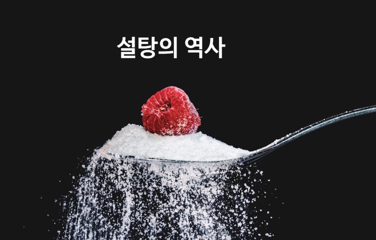 설탕의 역사!설탕의 엄청난 과거!