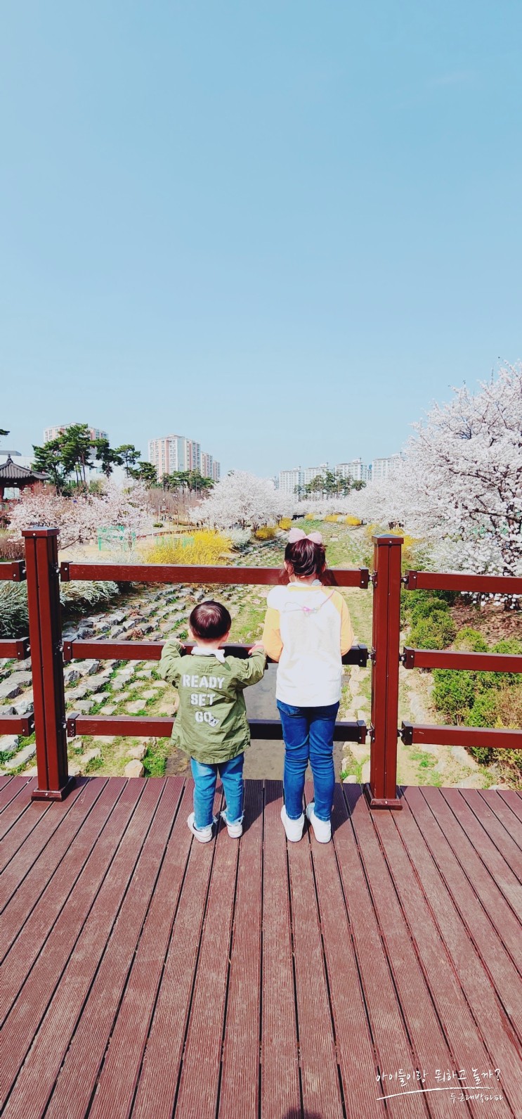 광명 아이와 산책하기 좋은 소하동 소하천에서 벚꽃 즐기기