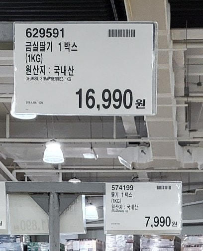  4월 딸기 소식