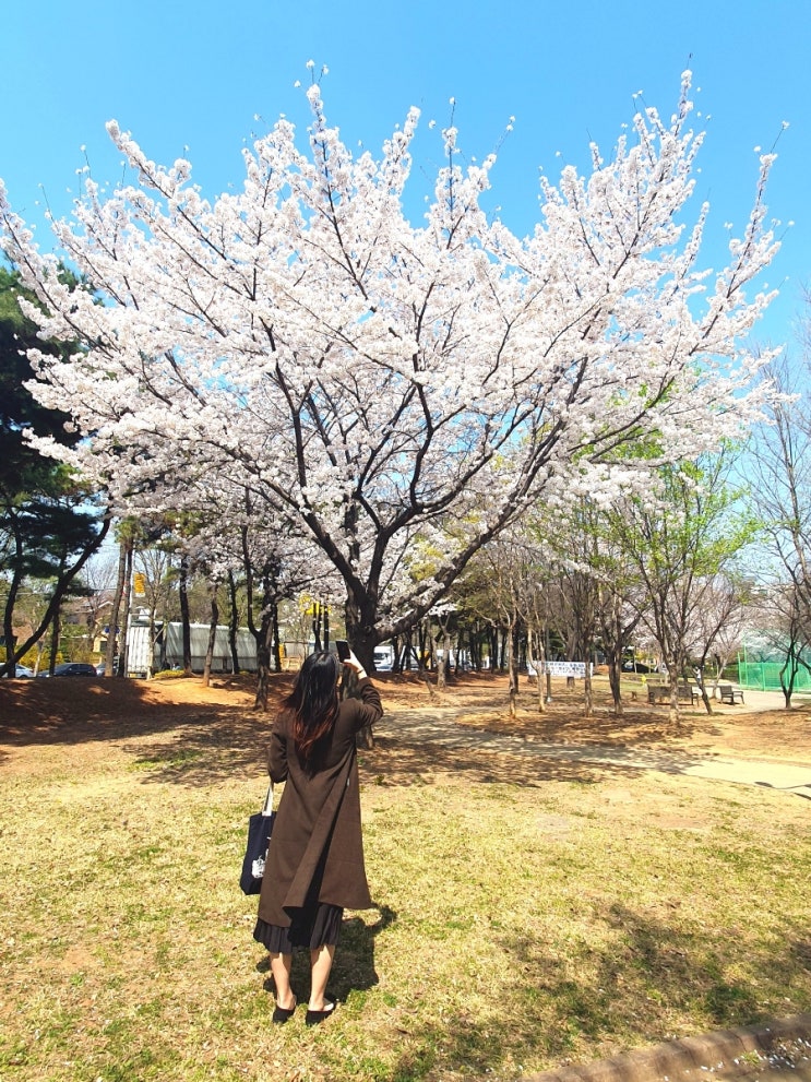  대기업 이직 후 직장인의 삶