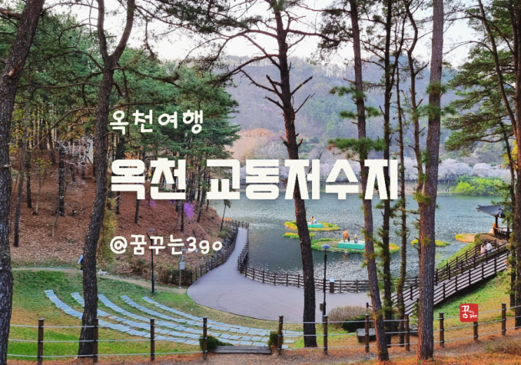 대전 근교 벚꽃 명소 옥천 교동 저수지 봄 감성 가득한 뷰 맛집