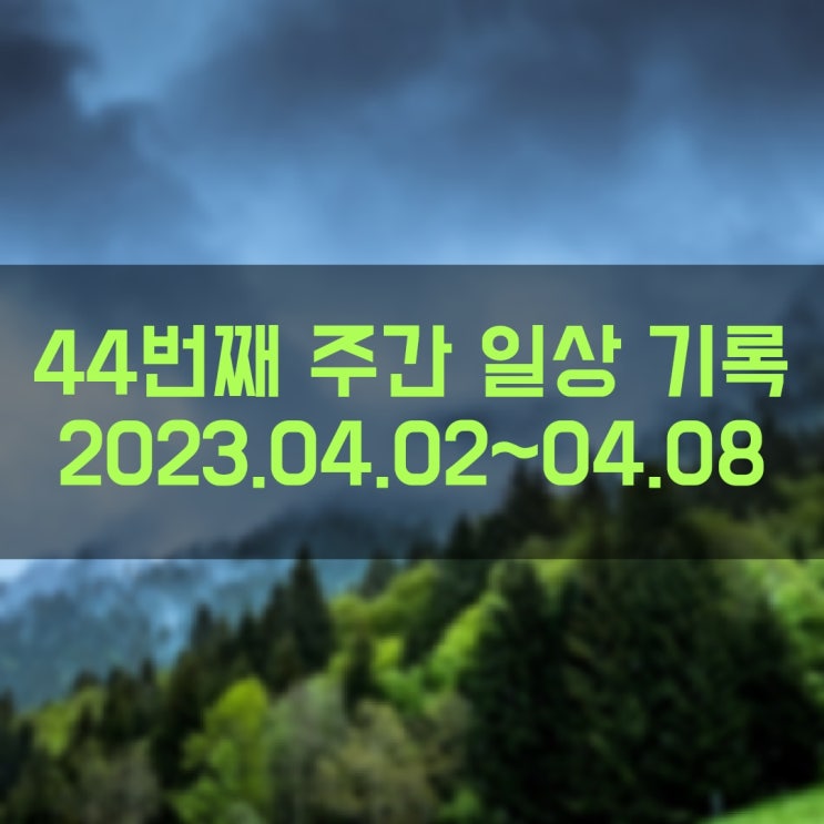 44. 주간 일상 기록 (2023년 4월 2일 ~ 4월 8일)