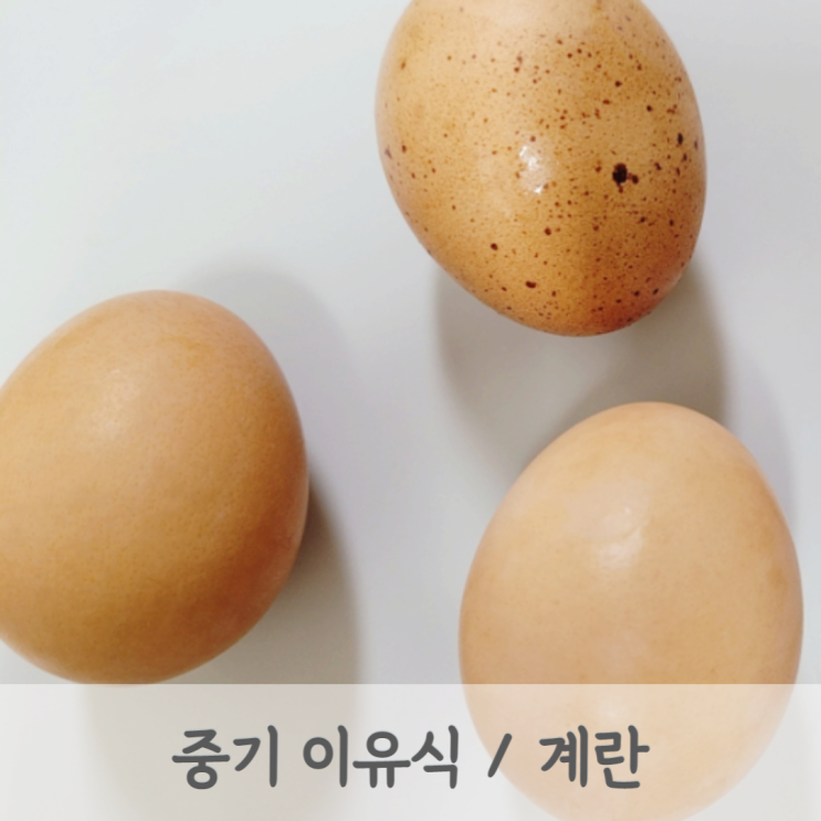 [초기이유식 중기이유식] 아기 계란 노른자 흰자 알레르기 테스트 (계란 먹는양, 계란 큐브, 계란 토핑, 베이비무브)