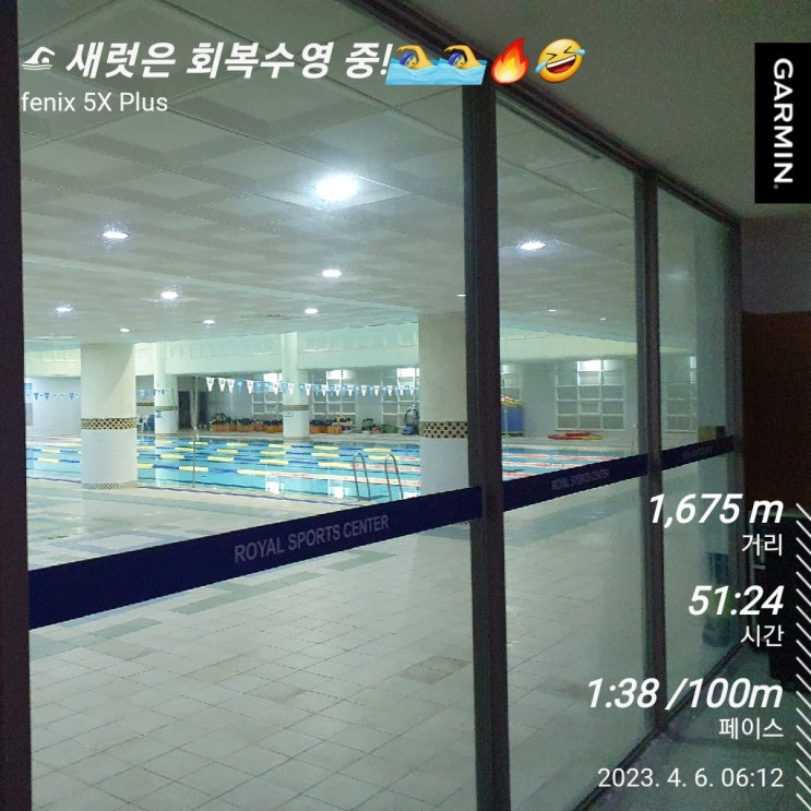  [수영일기] 4월 6일 새럿은 회복수영 중!