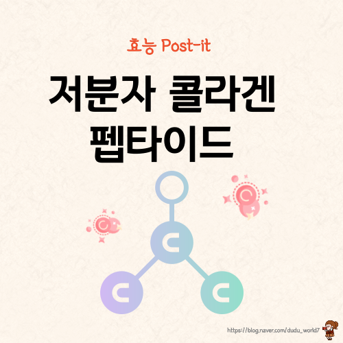  저분자 콜라겐 펩타이드 추천, 봄철 피부 건강을 지키는 저분자 콜라겐 펩타이드 효능 5가지