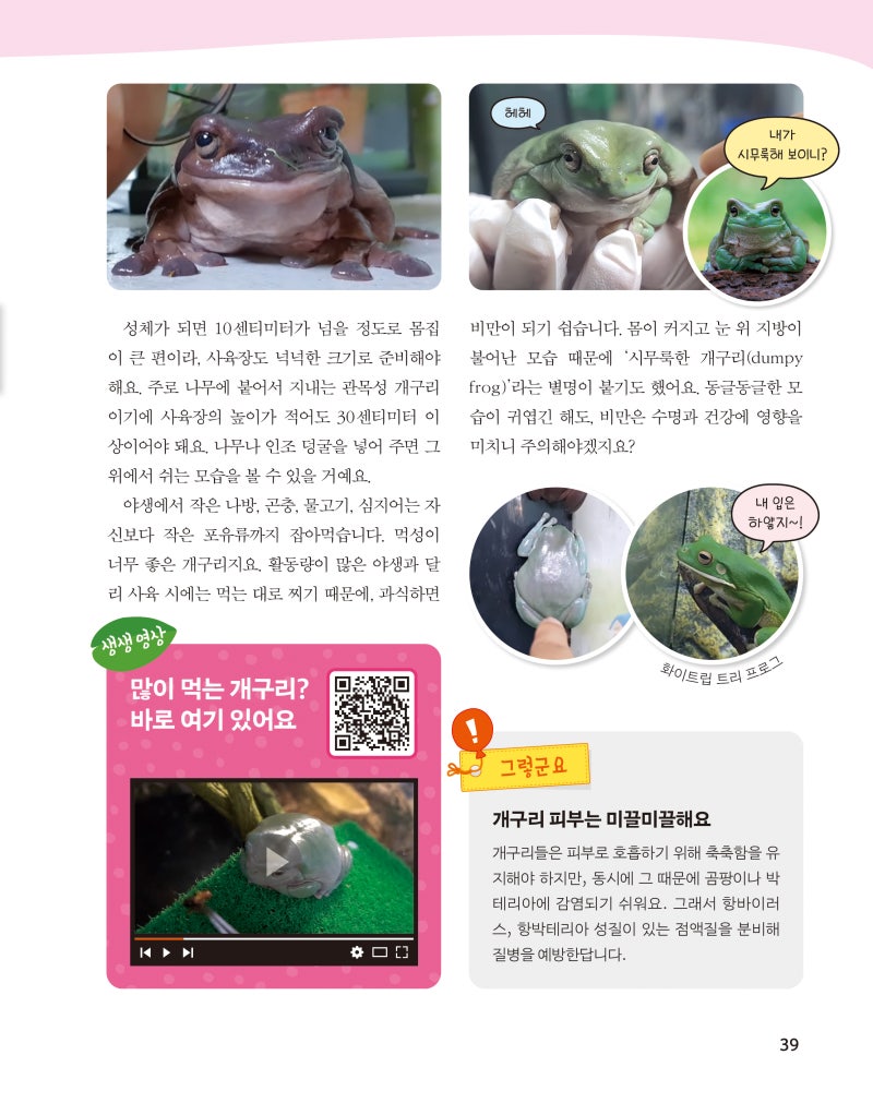 정브르가 알려주는 양서류 체험 백과\u003e 활동지 모음 : 네이버 블로그, image size:800x1022