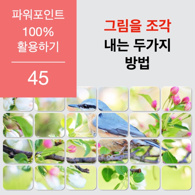 파워포인트 100% 활용하기 - 그림을 조각내는 두가지 방법 파워포인트 100% 활용하기 - 그림을 조각내는 두가지 방법