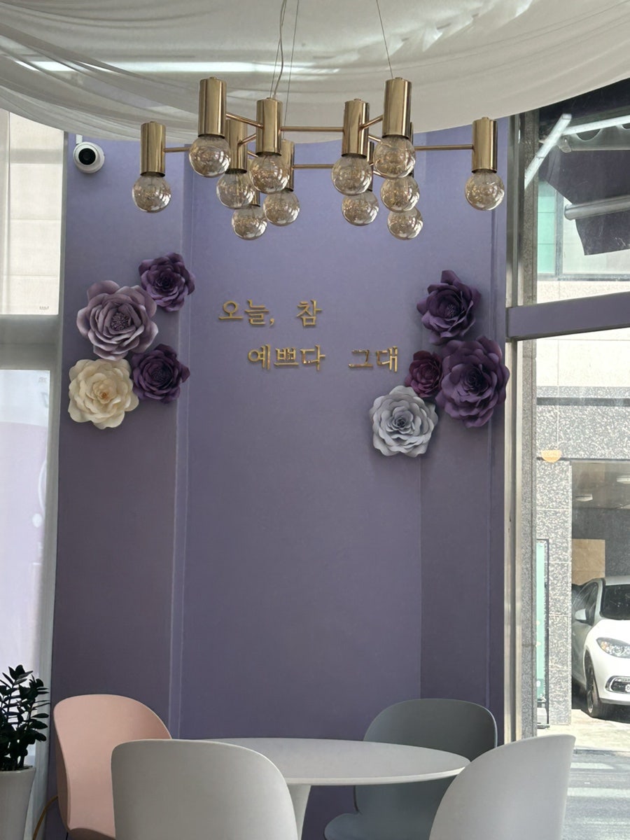보라떼 사진 4