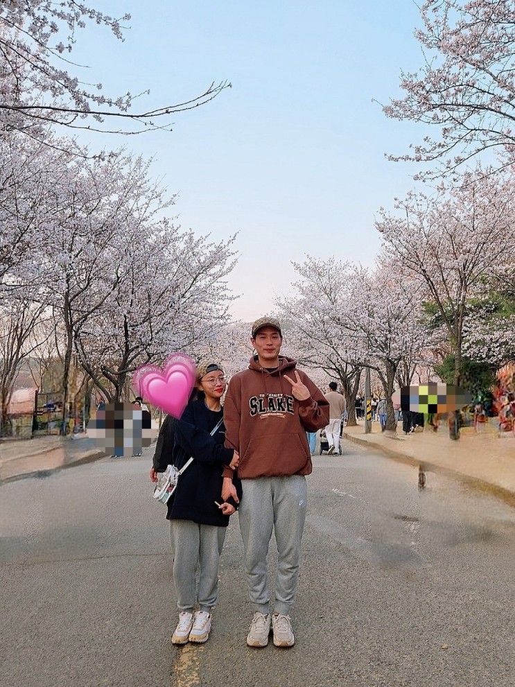 인천 벚꽃명소 인천대공원 벚꽃축제는 4월 8일부터~4월 9일까지! 자전거대여소 정보와 꽃 구경 일상 
