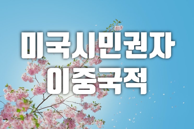  국적회복 신청 후 허가까지 8개월의 기간이 소요됩니다(2023.03.29 현재)