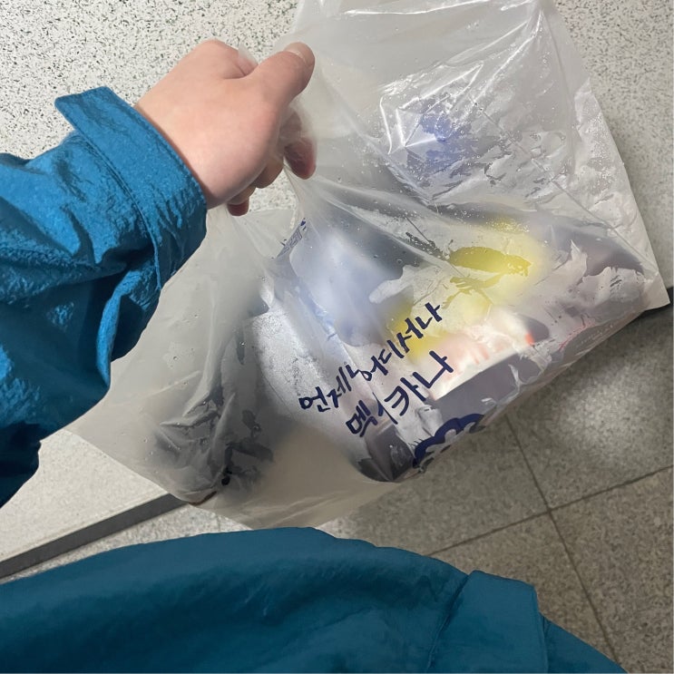 러시아 국가 해방 이전의 폴란드와의 관계