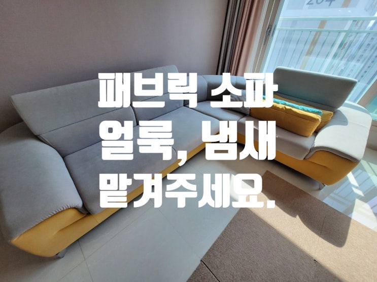  부천 소파/쇼파 청소업체 얼룩, 냄새도 맡겨주세요.