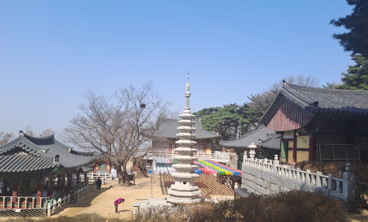  명예훼손과 모욕죄
