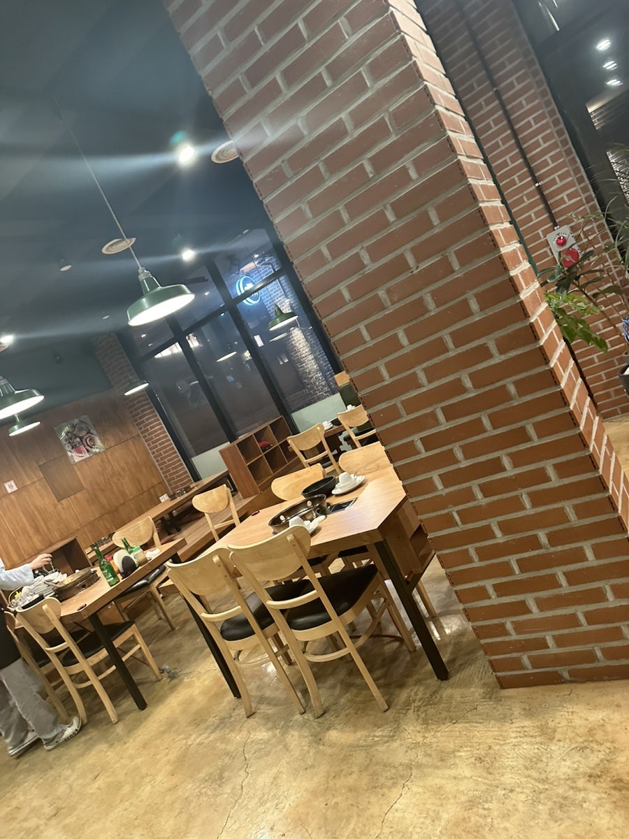 샤브나무 사진 5