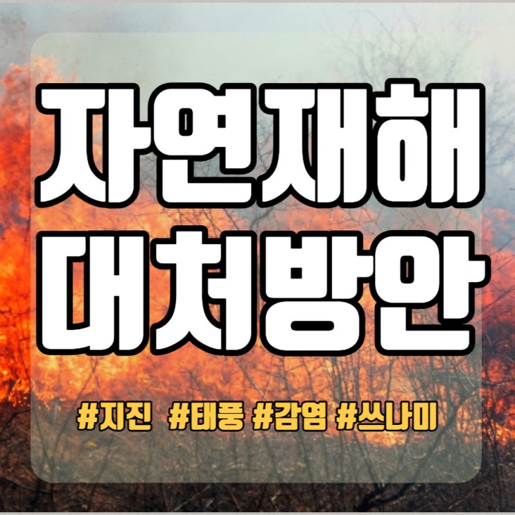  자연재해와 재난의 원인 그리고 지진 발생시 행동 요령 대처 방안