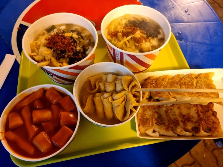  대구 두류공원 '광장휴게소' 분식 맛집 (떡볶이 우동 군만두 어묵) (feat. 이월드 벚꽃타워길)