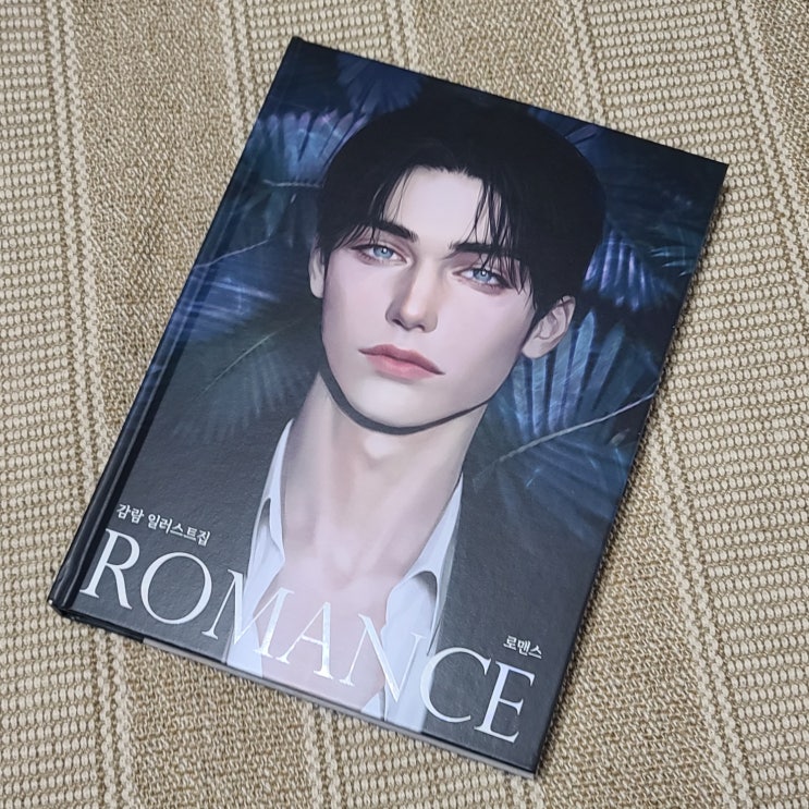  [도서] 로맨스 (ROMACE) - 감람 일러스트집