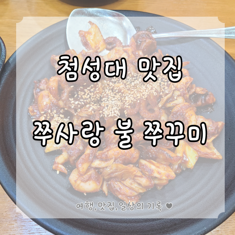  [첨성대 맛집] 쭈사랑 불 쭈꾸미 후기 with 메뉴 및 주차 정보