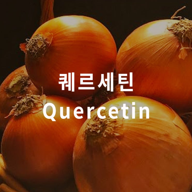  퀘르세틴 (케르세틴) : 효능 효과, 영양제, 브로멜라인, quercetin