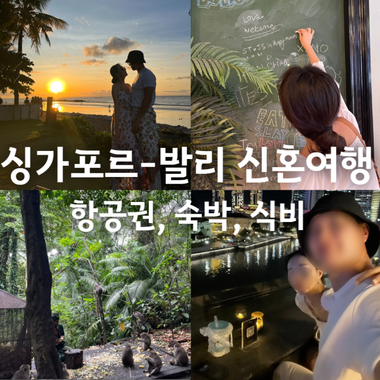  발리 신혼여행 경비, 준비물, 비용 꿀팁 (싱가포르 경유)